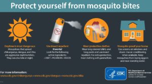 Prevent Zika
