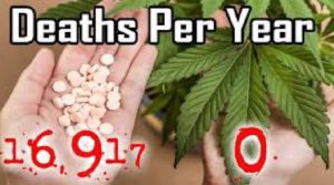 Medical Marijuana's