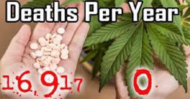 Medical Marijuana's