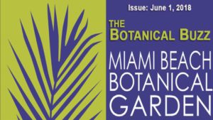 Botanical Buzz
